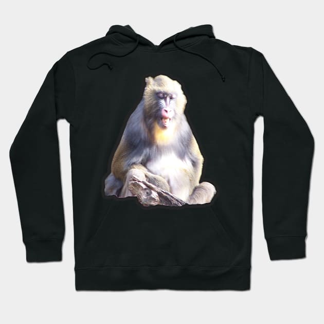 Mandrill Hoodie by Sharonzoolady